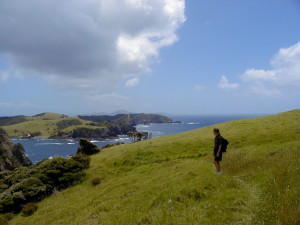 Ellen hiking in Bay of Islands, New Zealand